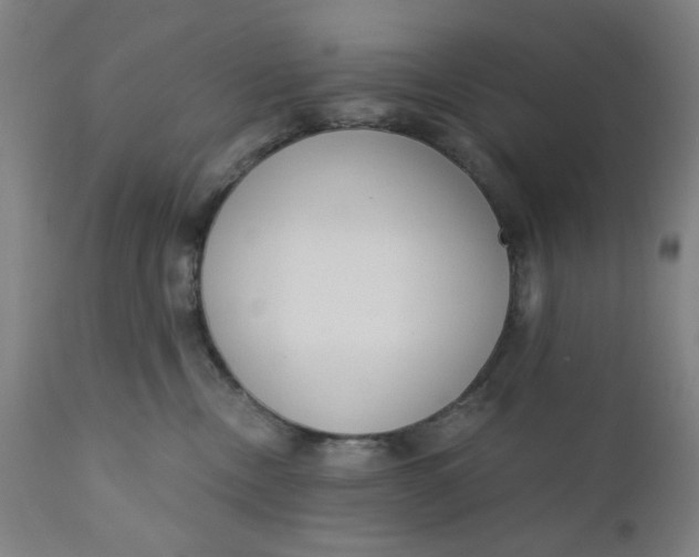 X0000110670378200907021852