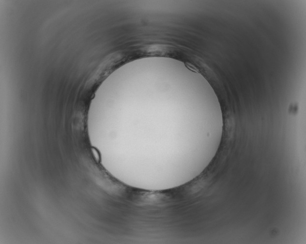 X0000110670379200907021852