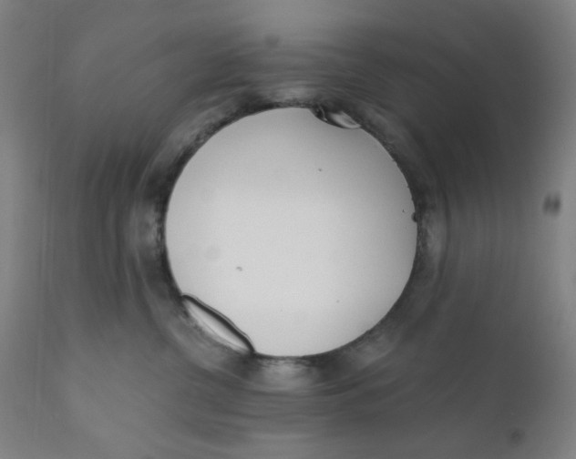 X0000110670380200907021852