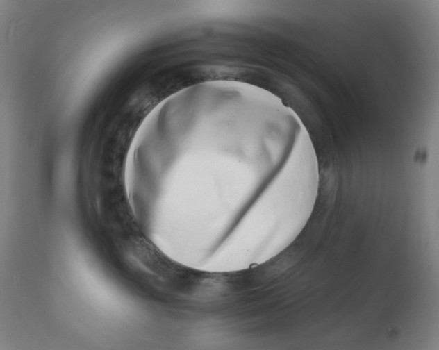 X0000110670381200907021852
