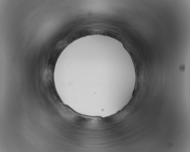 X0000110670382200907021852