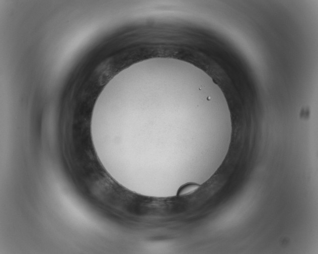 X0000110670383200907021852