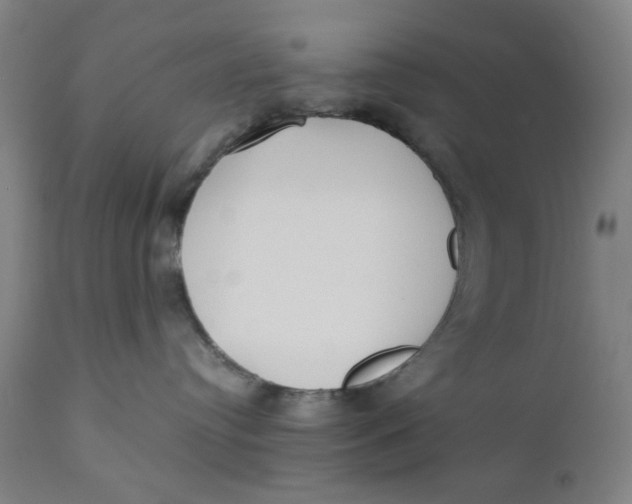 X0000110670384200907021852