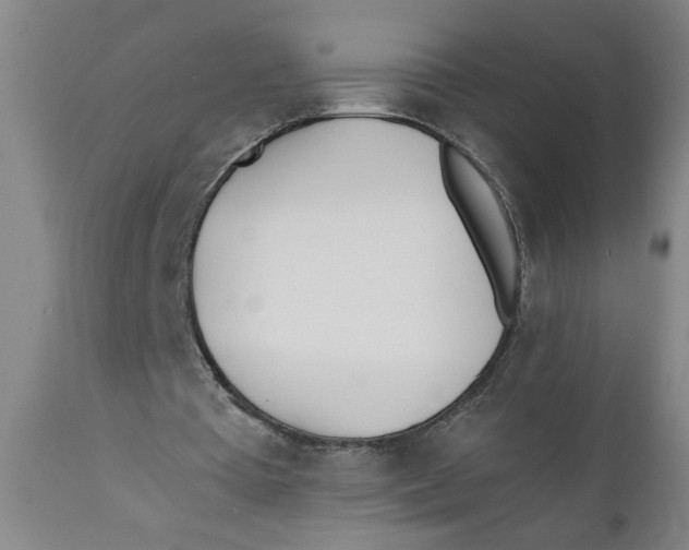 X0000110670385200907021851