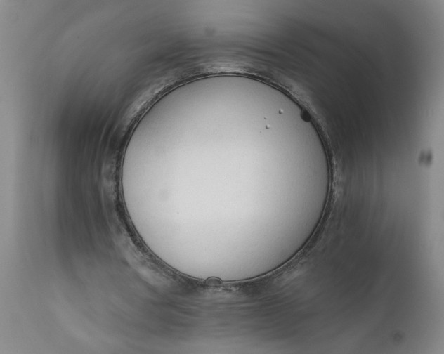 X0000110670386200907021851