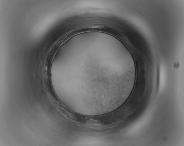 X0000110670387200907021851