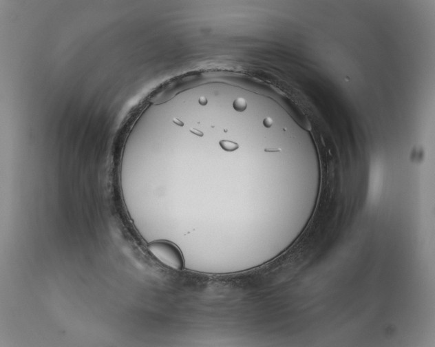 X0000110670388200907021851