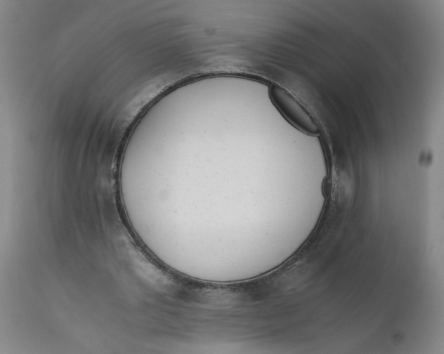 X0000110670389200907021851