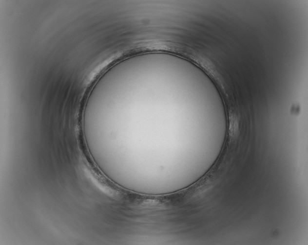 X0000110670390200907021851