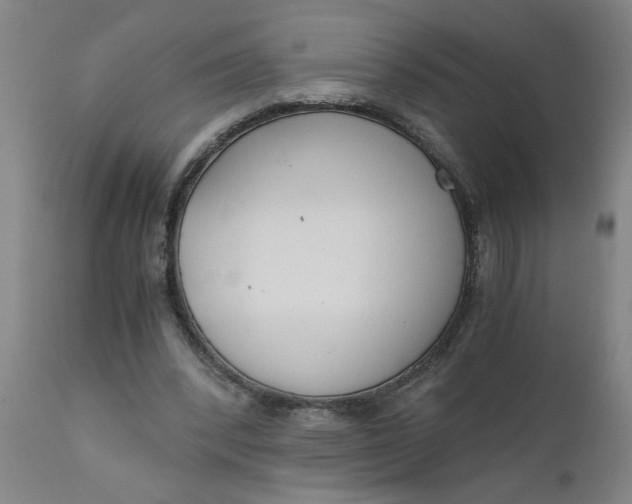 X0000110670392200907021851