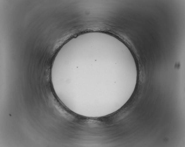 X0000110670393200907021851