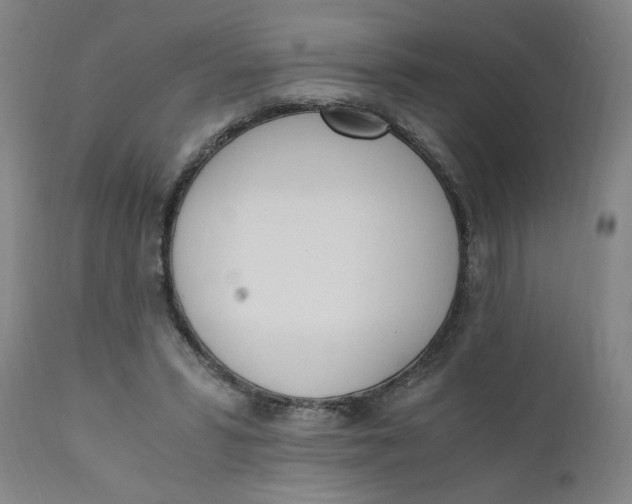 X0000110670399200907021851