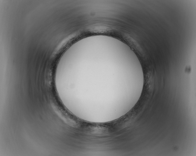 X0000110670400200907021851