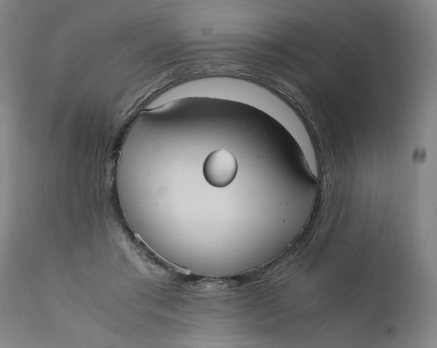X0000110670405200907021851