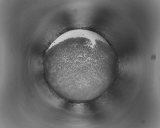 X0000110670411200907021851