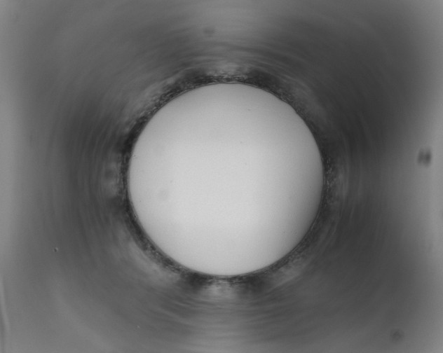 X0000110670416200907021851