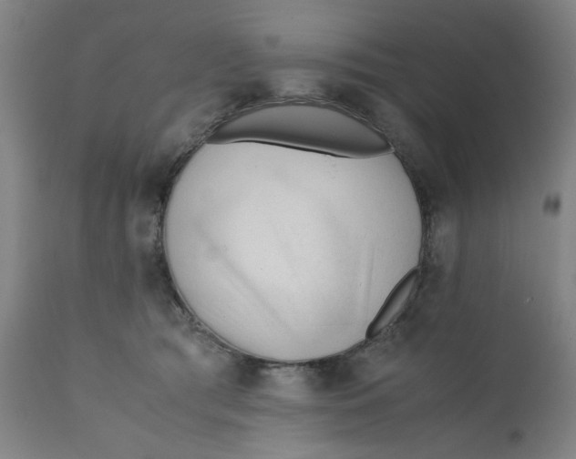 X0000110670417200907021851