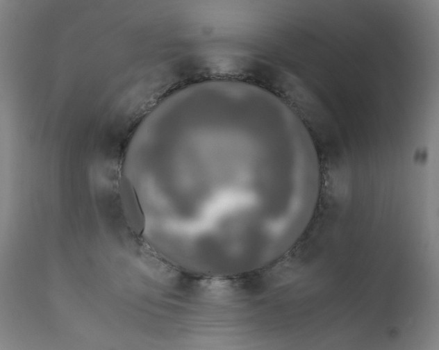 X0000110670419200907021851