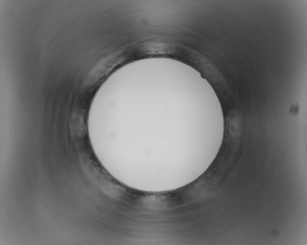 X0000110670422200907021851