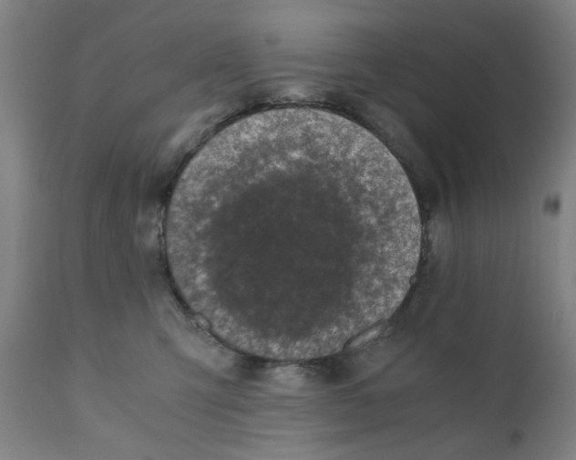 X0000110670423200907021851
