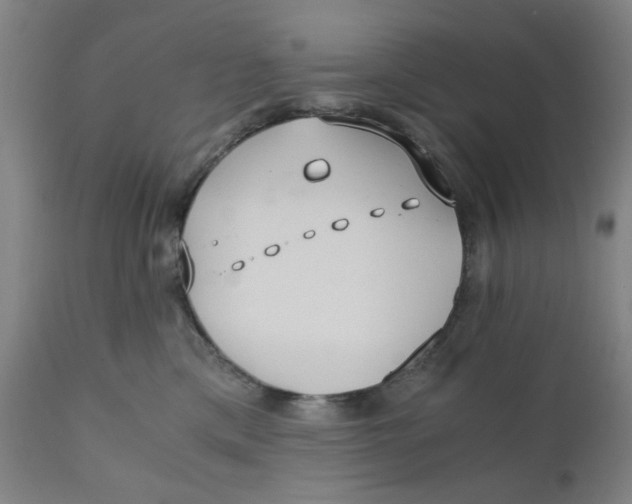 X0000110670425200907021851
