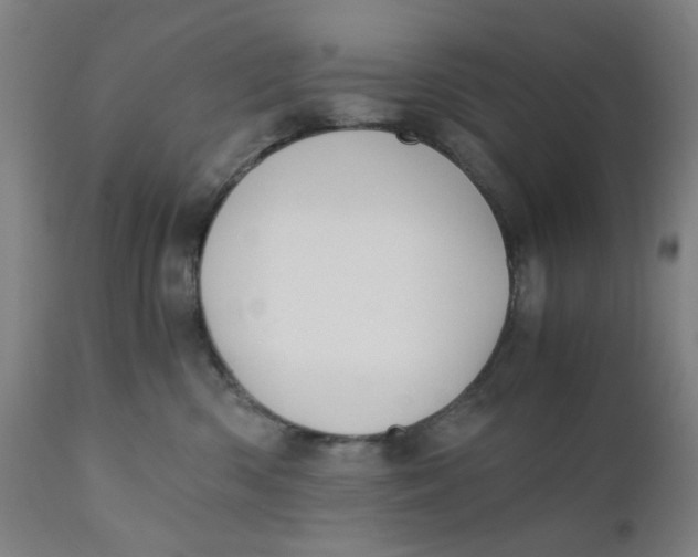 X0000110670426200907021851