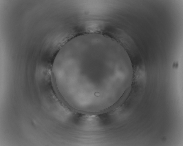 X0000110670427200907021851