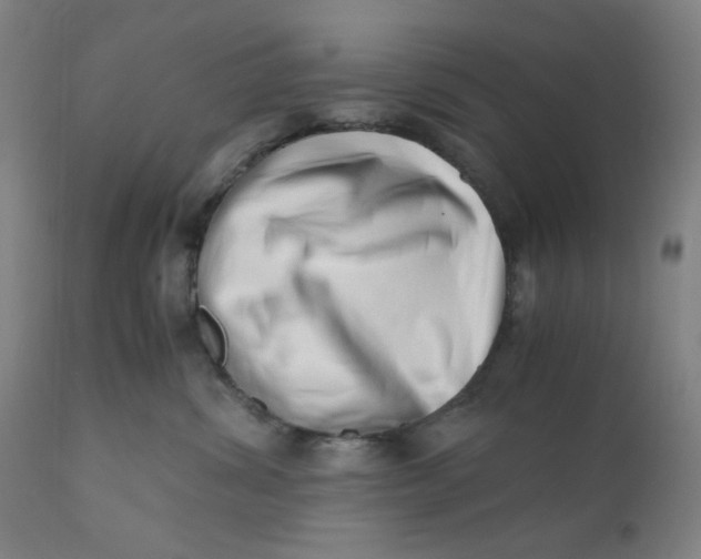X0000110670428200907021851