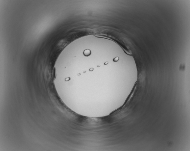 X0000110670429200907021851