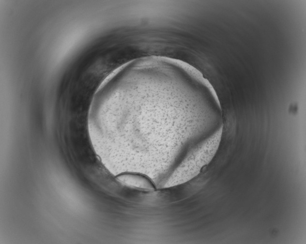 X0000110670430200907021851