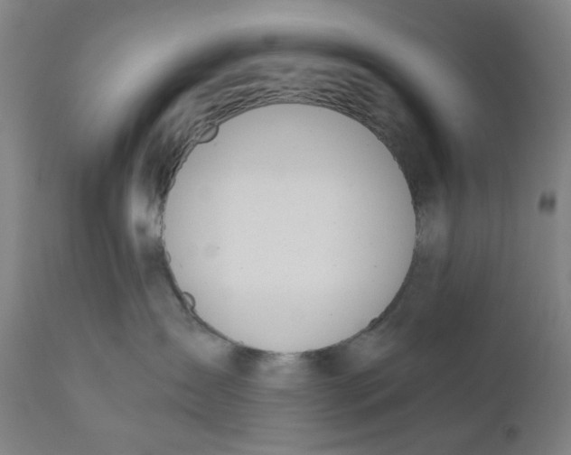 X0000110670431200907021851