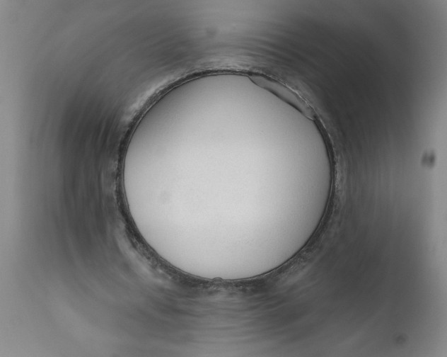 X0000110670434200907021850
