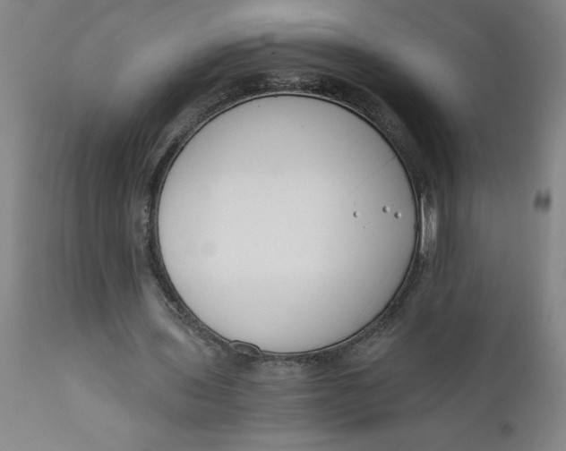 X0000110670435200907021850