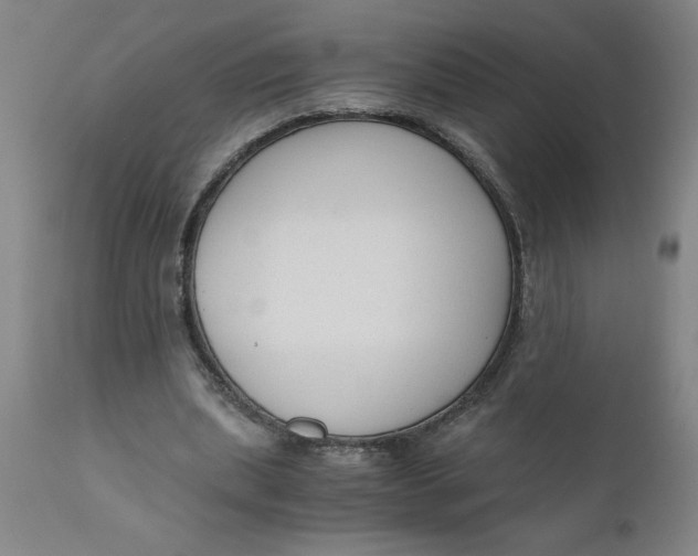 X0000110670439200907021850