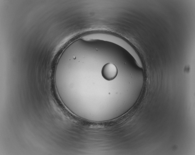 X0000110670440200907021850