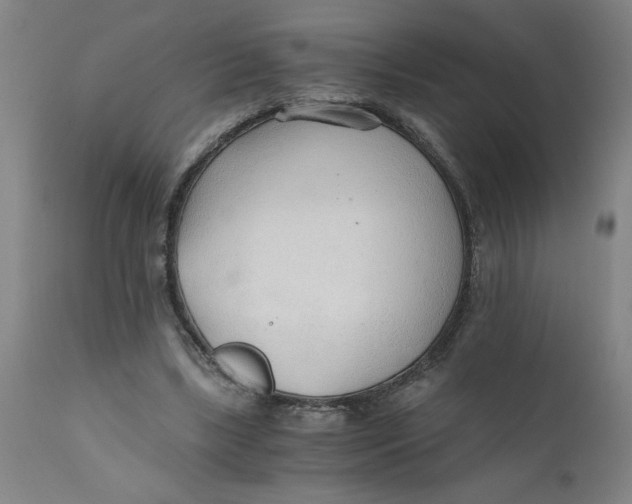 X0000110670443200907021850