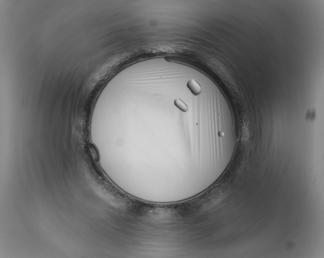 X0000110670444200907021850