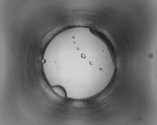 X0000110670445200907021850