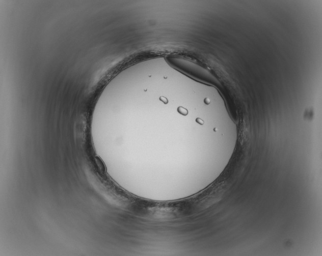 X0000110670448200907021850