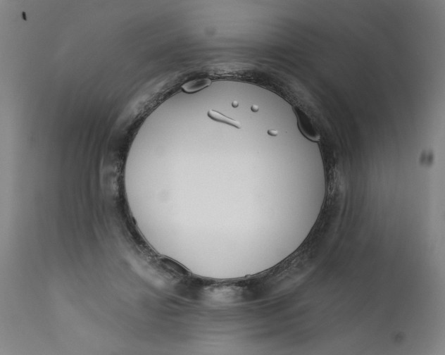 X0000110670452200907021850