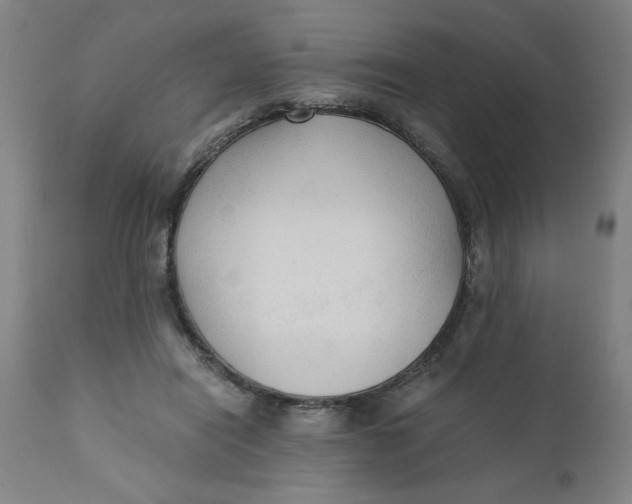 X0000110670454200907021850