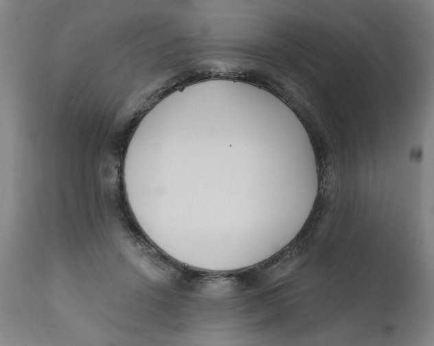 X0000110670456200907021850