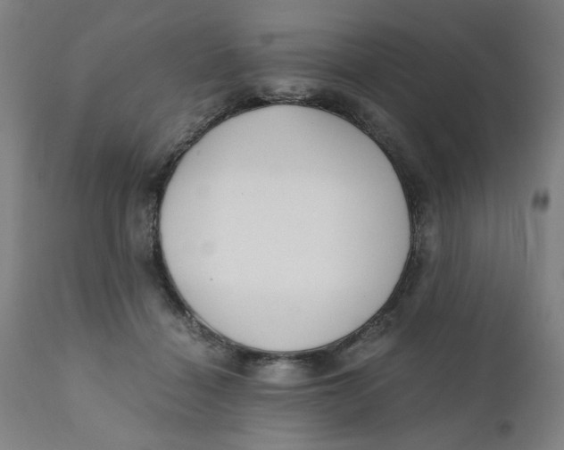 X0000110670460200907021850
