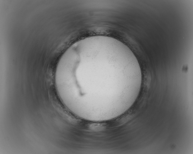 X0000110670465200907021850