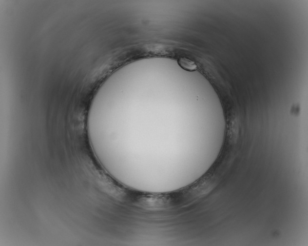 X0000110670466200907021850