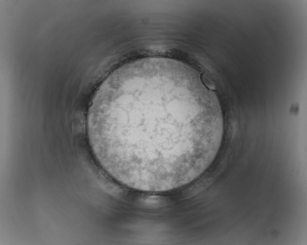 X0000110670467200907021850