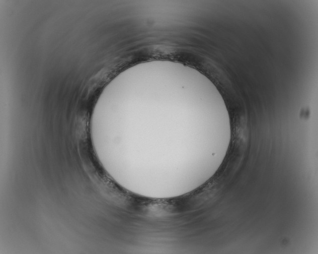 X0000110670468200907021850