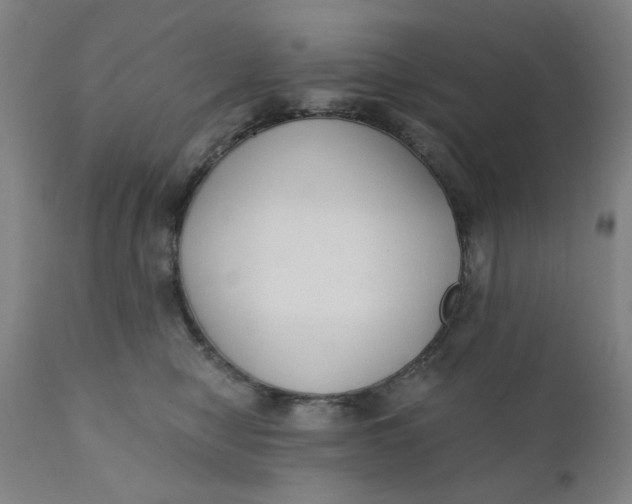 X0000110670470200907021850