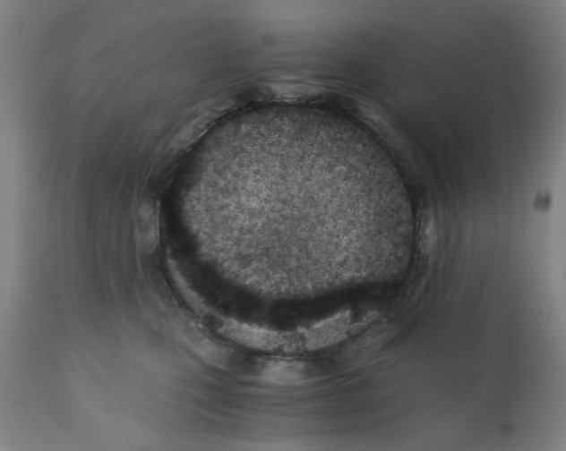 X0000110670471200907021850