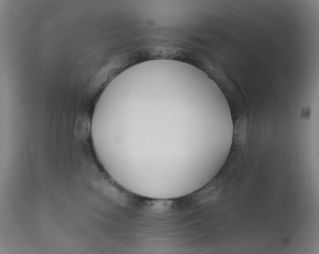 X0000110670474200907021850
